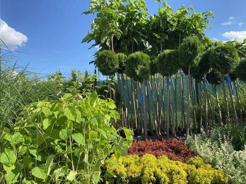 artykuły ogrodnicze