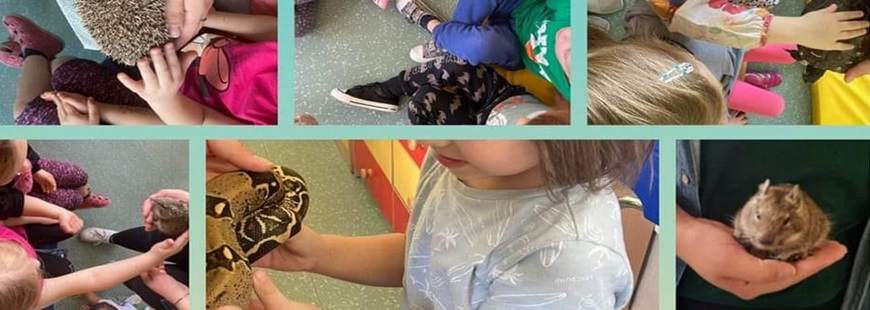 Walabia - Żywa Edukacja Barbara Kapica