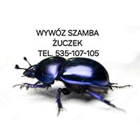 Wywóz szamba - Żuczek - Wywóz śmieci i odpadów