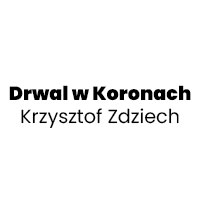 Krzysztof Zdziech Drwal w Koronach - Drewno