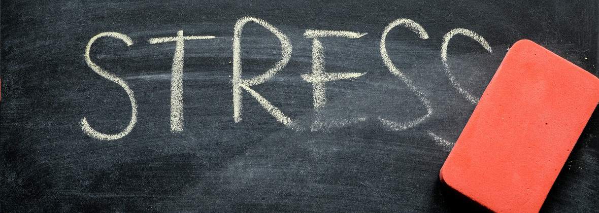 Harmonia-Szkolenia i Kursy