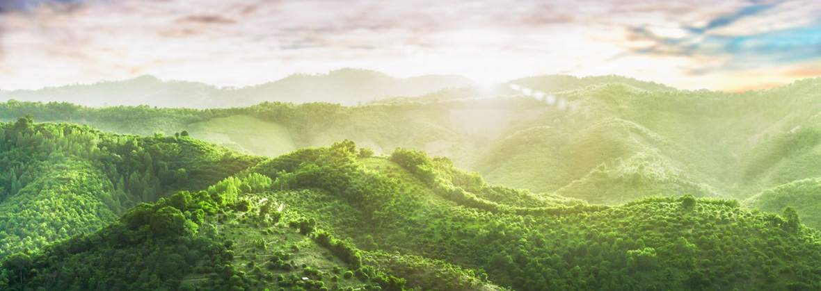 Ośrodek Psychoterapii Na Słonecznym Stoku