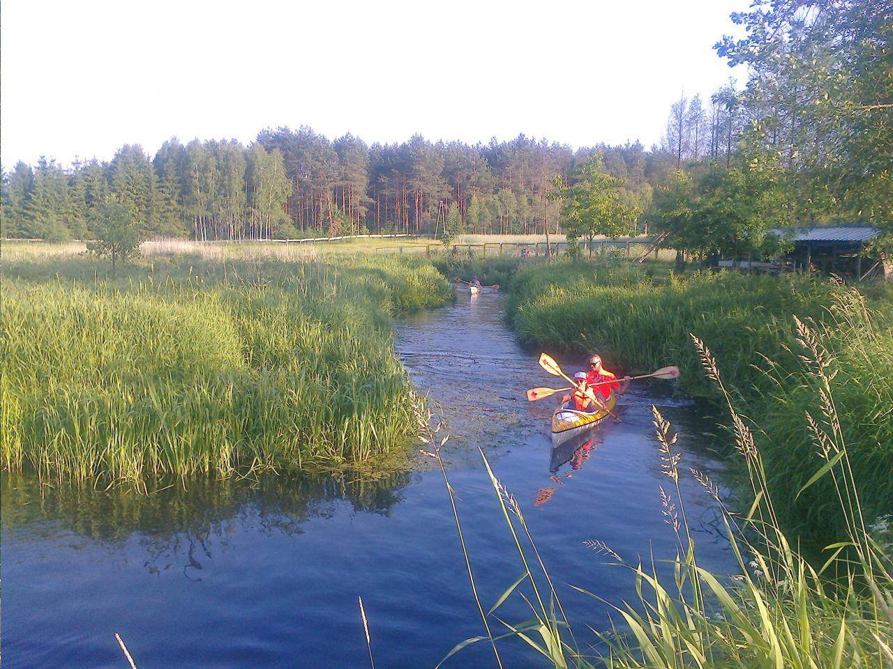 Wypożyczalnia Kajaków "ŻUCZEK"