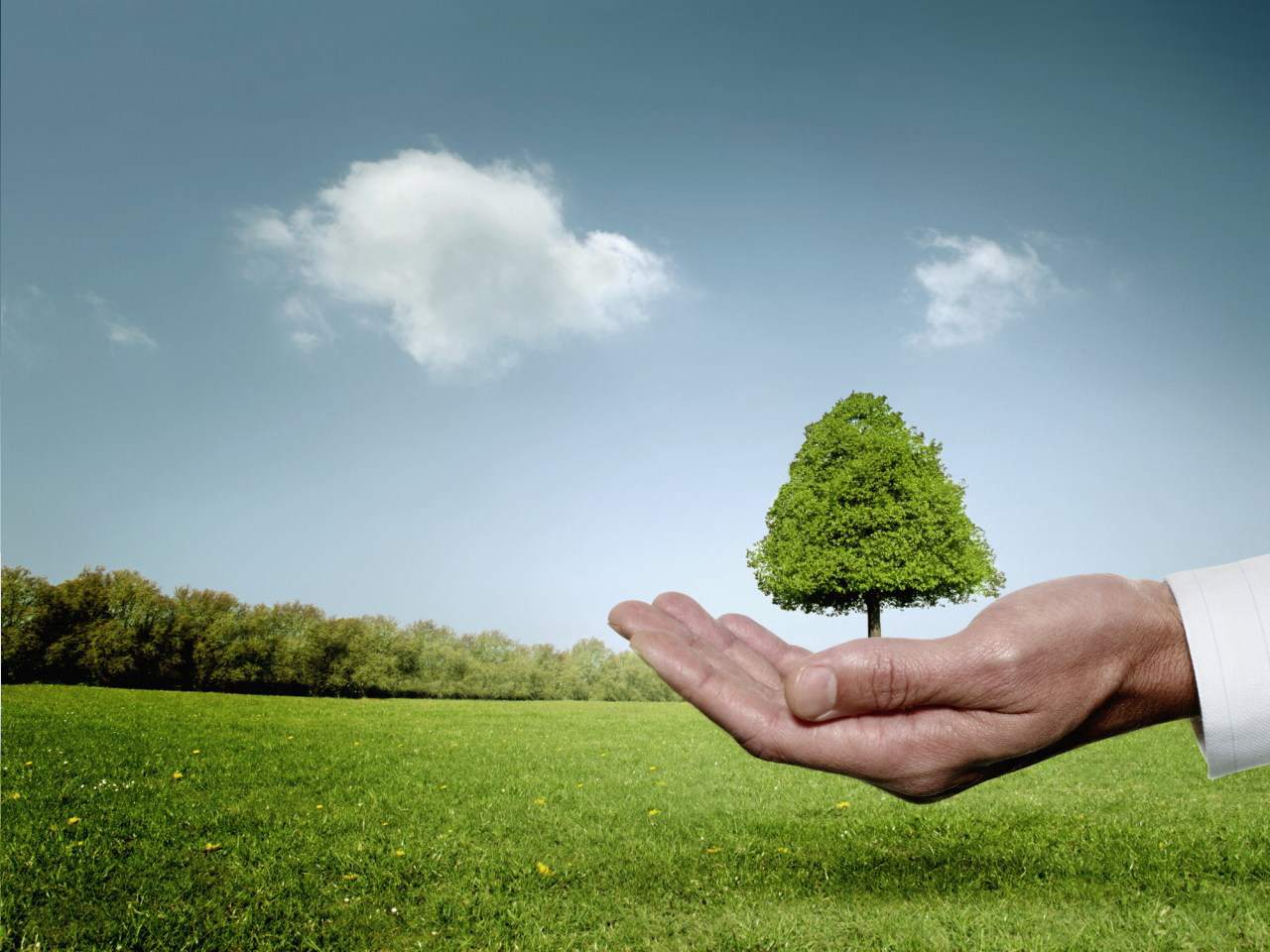 screening stanu środowiska