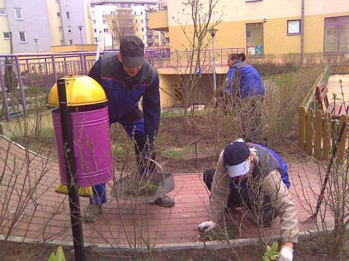 sprzątanie terenów zewnętrznych
