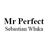 Mr Perfect Sebastian Włuka - Serwis komputerów