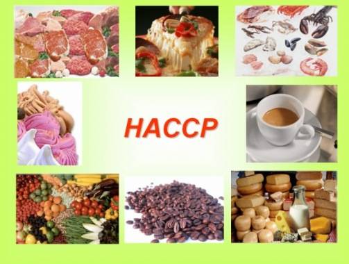 haccp