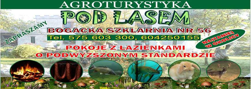 Agroturystyka Pod Lasem
