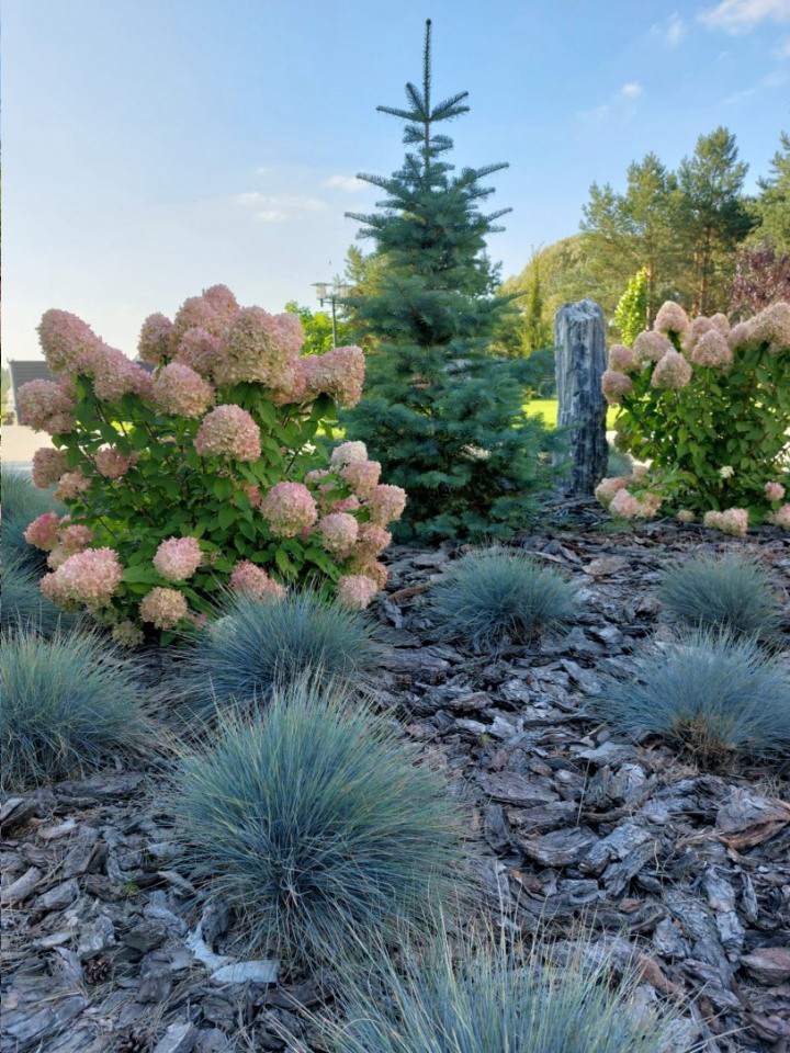 projekt zagospodarowania terenów zieleni