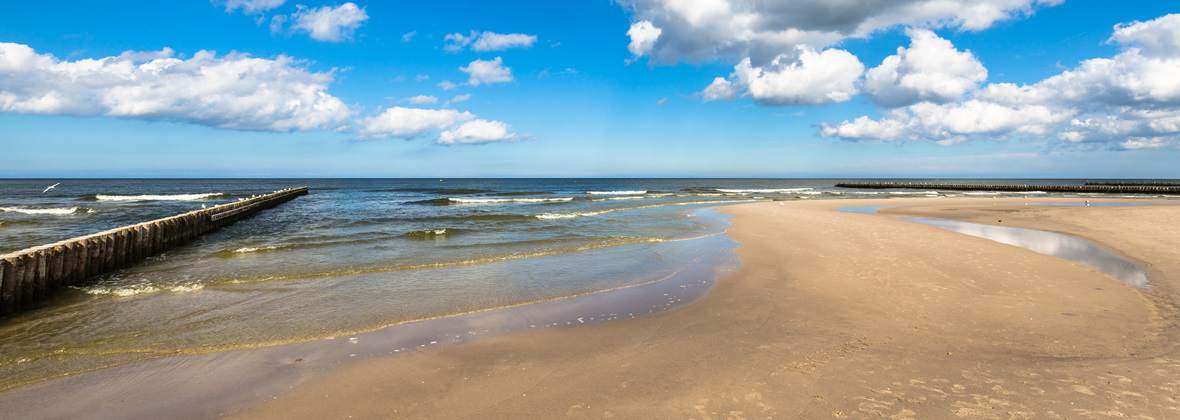 Villa Azalia w Łebie