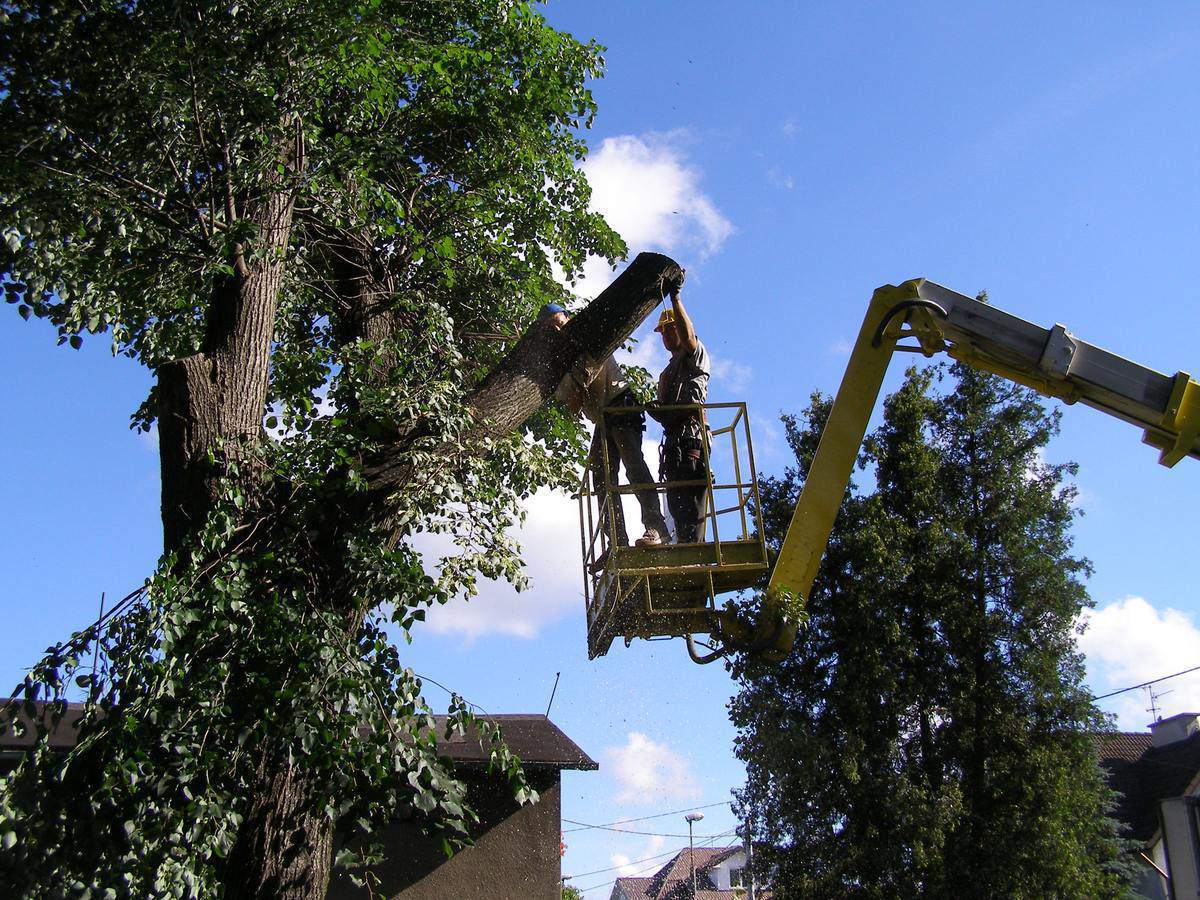 usługi podnośnikiem