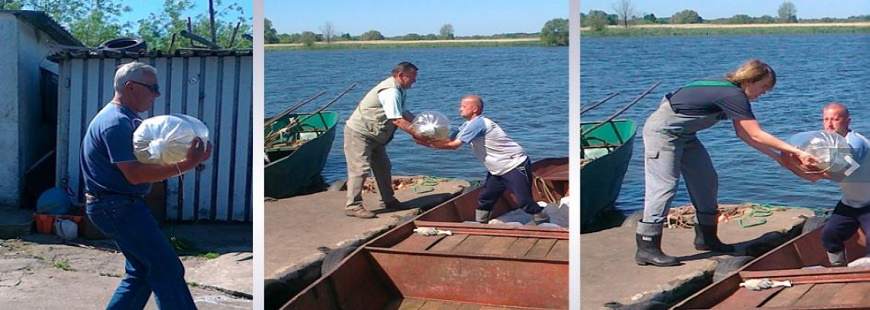 Regalica Rybacka Spółdzielnia