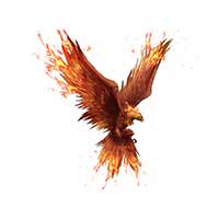 Feniks Karina Czerwińska Usługi Mobilne - Rehabilitacja