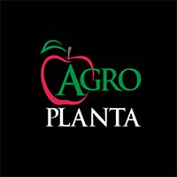 Przedsiębiorstwo Handlowo Usługowe Krzysztof Wojtczak - Import i eksport