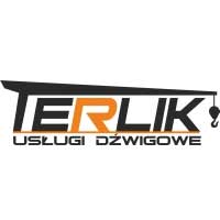 Usługi Dźwigowe Terlik - dźwigi, żurawie, podnośniki koszowe - Dźwigi i żurawie