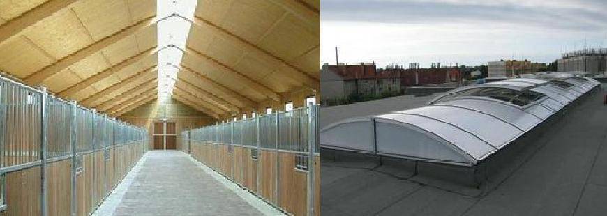 Prokaz Przemysław Konieczny