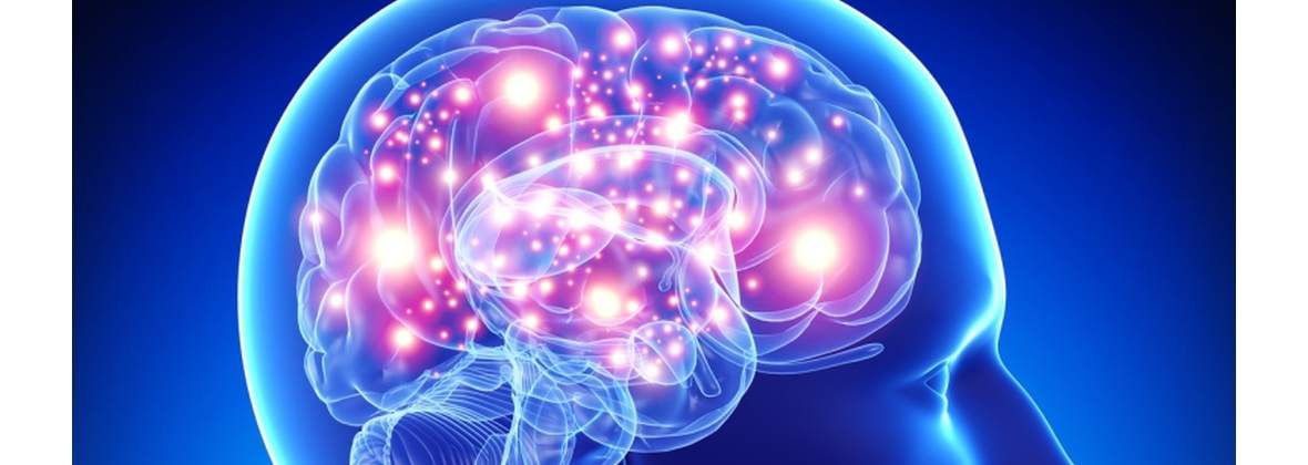 Mateusz Gutkowski Specjalistyczna praktyka lekarska