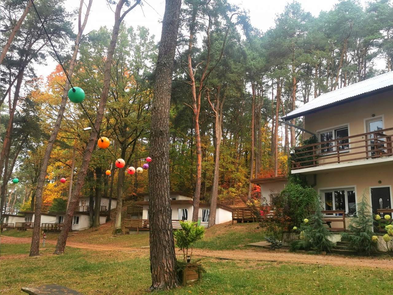 Domki nad Jeziorem Ośrodek Wypoczynkowy Jeleń