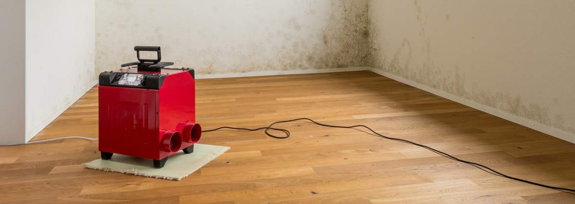 Dry Touch - Profesjonalne osuszanie i lokalizacja przecieków