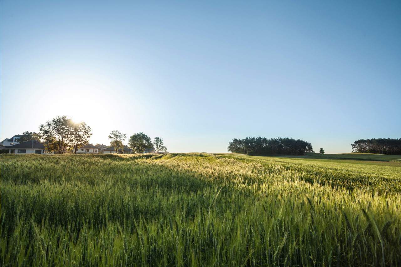 działki na sprzedaż