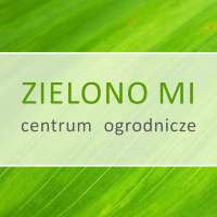Zielono Mi Centrum ogrodnicze Diana Gątkowska-Starostecka - Kwiaciarnie