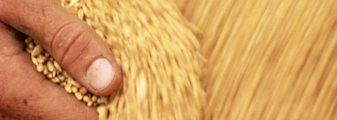 Moja Marcin Ratalewski