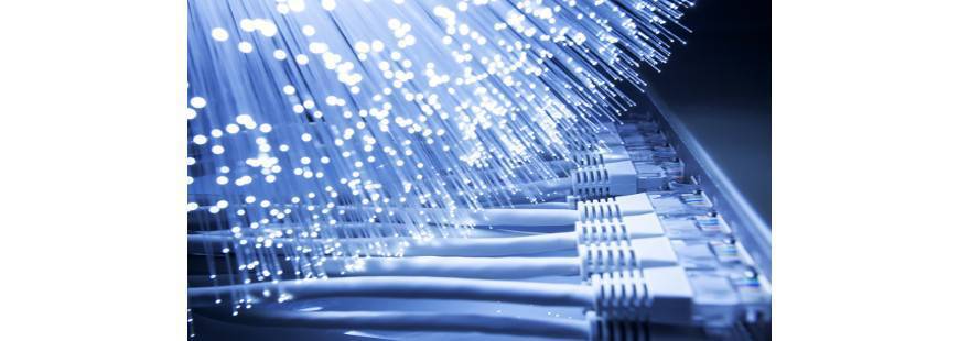 Standard Polish Enterprise Spe Imex Sp. z o.o.