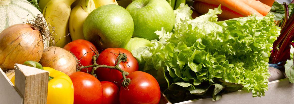 Golden fruits Sp. z o.o., Dobrzewino