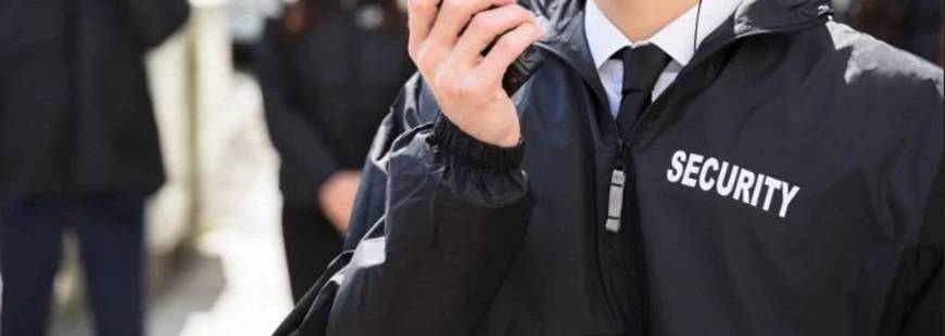 Delta-System Security Szymon Zieliński