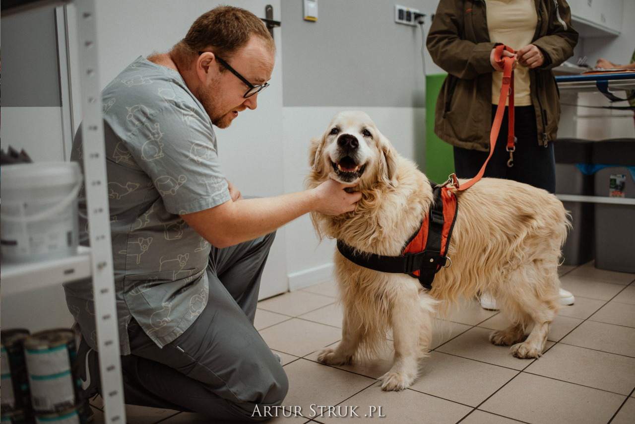 gabinet weterynaryjny, przychodnia weterynaryjna, weterynarz