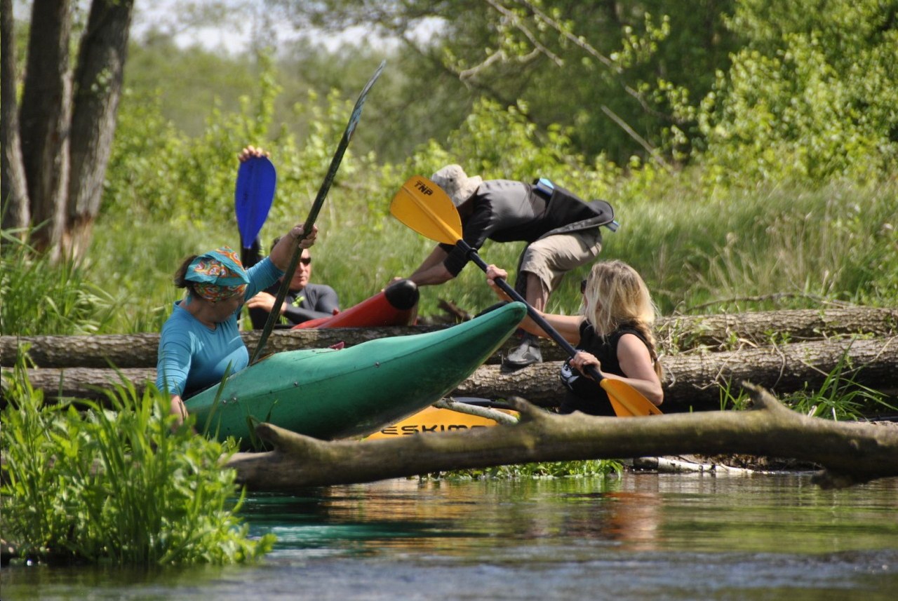 Wypożyczalnia Kajaków "ŻUCZEK"
