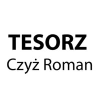 Tesorz Czyż Roman - Wynajem dźwigów i żurawi
