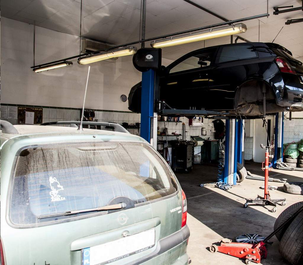 regeneracja tylnych belek