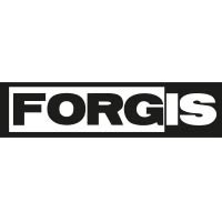 Forgis Wyroby ze stali nierdzewnej i kwasoodpornej - Stal i wyroby stalowe