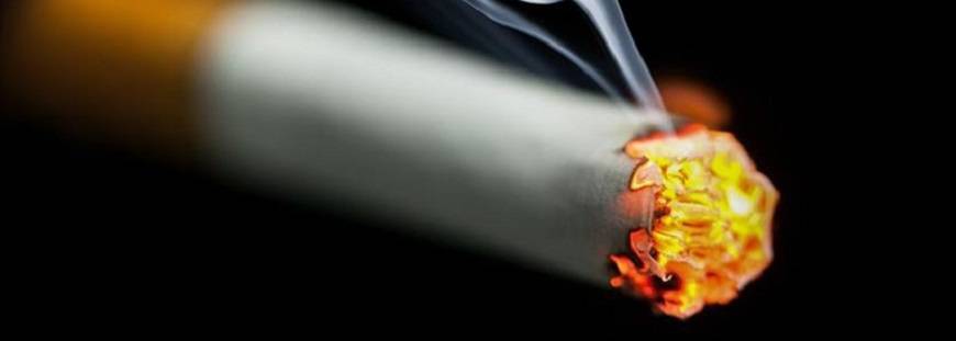 West Trading Spółka z ograniczoną odpowiedzialnością