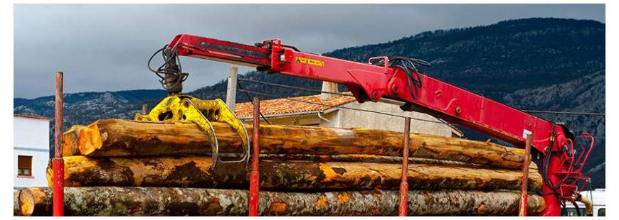 Tartak PPHU KOCIEWIAK