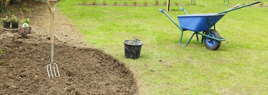 W Gruncie Rzeczy Miłosz Anklewicz