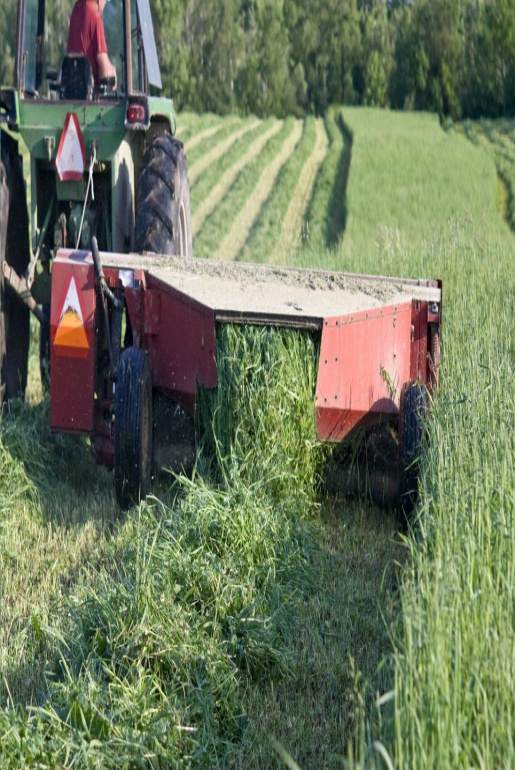 zbiór trawy dla zwierząt