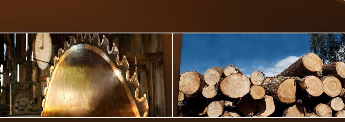 Tartak Wolski Fphu Daniel Uryga, Wola Zabierzowska