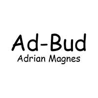 Ad-Bud Adrian Magnes - Wykończenia wnętrz