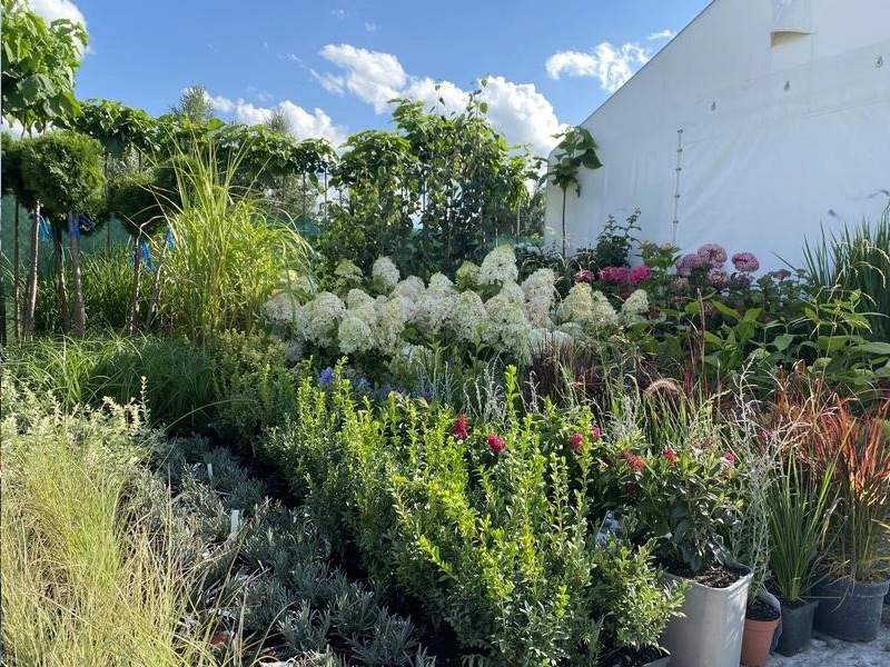 narzędzia ogrodnicze