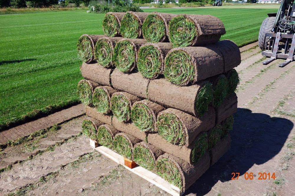 układanie trawy z rolki