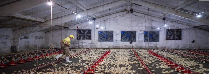 Eko-Karsch PL Marcin Marcinkowski