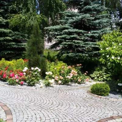 ogród ze stawem kąpielowym