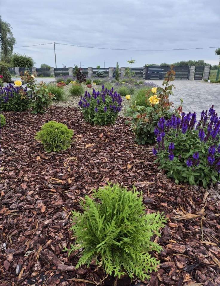 projektowanie terenów zielonych