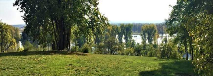 Winnica Winne Tarasy Górzykowo Jan Papina