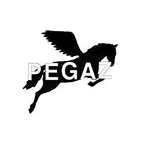 Pegaz Autoszkoła  Nauka jazdy, jazdy doszkalające - Kursy i nauka jazdy