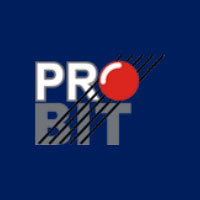 Pro-Bit s.c. Ppu - logo