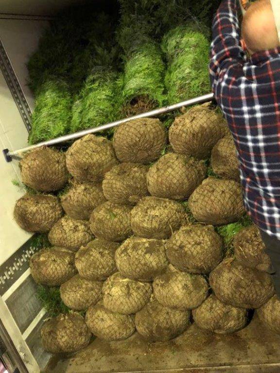 usługi transportowe