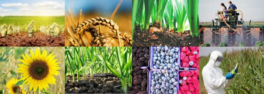 Pest-Ario Hurtownia Ogrodnicza